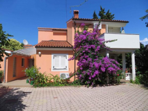 Apartments in Premantura/Istrien 34773